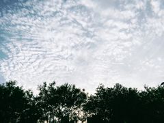 -清真·老金烧烤·小龙虾(奥体中路店)