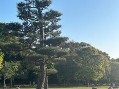 -奈良公园