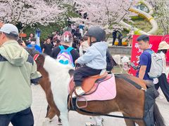 -杭州少年儿童公园