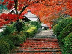 -香山公园