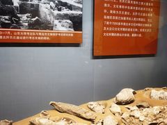 -青岛市博物馆
