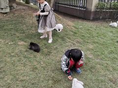 -洪湖家庭农场·团建·露营·会议