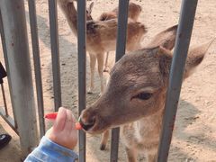 -西安秦岭野生动物园