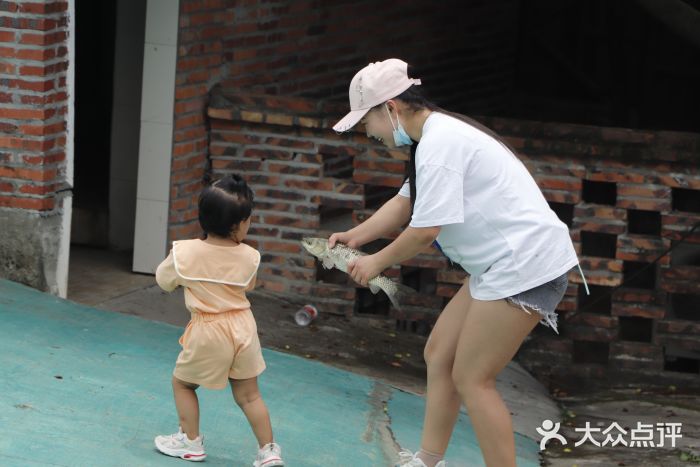 松山湖南湖湾露营营地图片