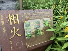 -华农酸奶文化馆