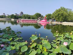 -莲花池公园