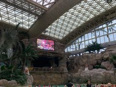 -杭州开元森泊度假乐园