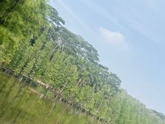 -三水森林公园