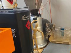 -叁秋咖啡 SANQIU COFFEE(天津河北路店)