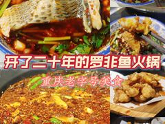 -费明中罗非鱼(大石坝店)