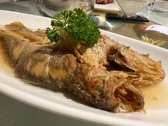 -金美华轩(东方路齐鲁店)