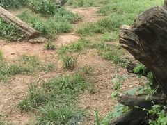 -云南野生动物园