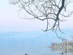 -西昌邛海湿地