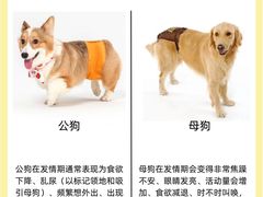 -萌兽医馆·犬猫专科·眼科中心·宠物医院(朝阳门分院)
