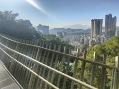 -福道