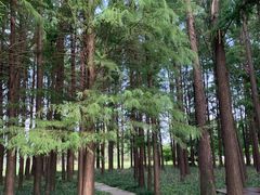 -采石矶景区