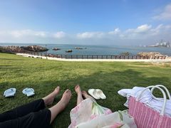 -小麦岛公园
