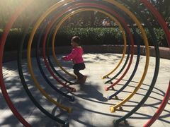 -大兴滨河森林公园