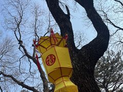 -红螺寺