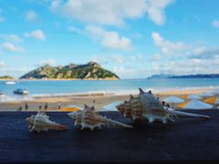 -大京沙滩