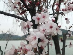 -南北湖风景区