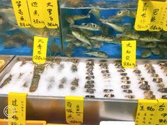 水产区-飞尝蚝·顺德菜·鱼生(顺德总店)
