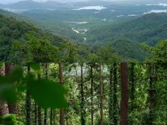 -素山寺森林公园