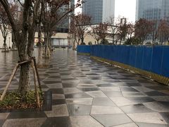 -重庆市江北嘴中央商务区中央公园