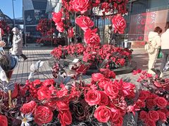 -万达广场(齐齐哈尔建华店)