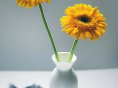 -知足堂养生会所(碑亭巷店)