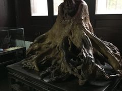-王家大院