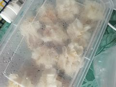 -清真·同发顺饭庄·烧麦(总店)