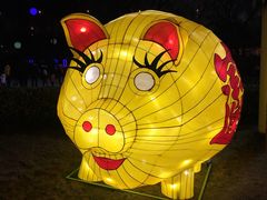 -锦江乐园舞狸花花游园会(夜场专享)