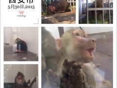 秦岭野生动物园-西安秦岭野生动物园