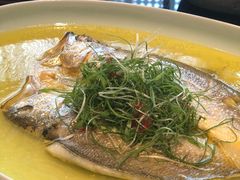 -柒厢食事雅谈