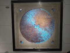 -上海昆虫博物馆