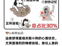 -美联众合动物医院·24h转诊中心