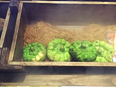 环境-云海肴·汽锅鸡·云南菜(天津国金汇店)