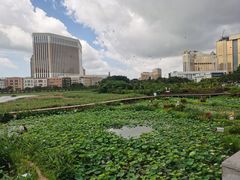 -龙环葡韵住宅式博物馆
