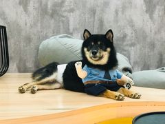 -星巴克(武汉招商公园1872店)