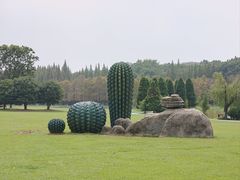 -宜兴龙背山森林公园