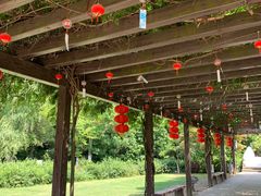 -白马涧龙池景区