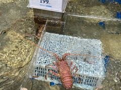 -盒马鲜生(枣园路店)