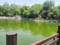 -莲湖公园