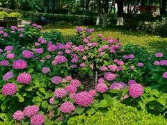 -常州古运河南大街文化旅游区-人民公园