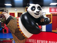 -武易极武术·体能·搏击培训(新年华购物中心店)
