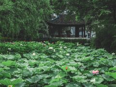 -拙政园