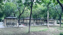 -优沃得自然教育农场·冰雪乐园·生日会·研学