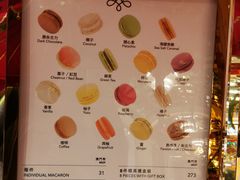 -咖啡苑 - 蔚藍夏日限定主题(永利皇宫店)