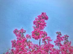 -济南国际园博园